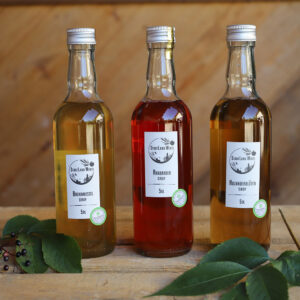 Rhabarber Sirup 5dl