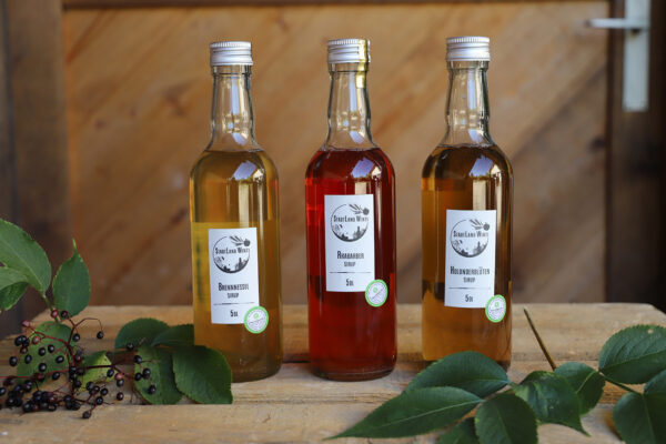 Rhabarber Sirup 5dl