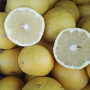 Grapefruit gelb